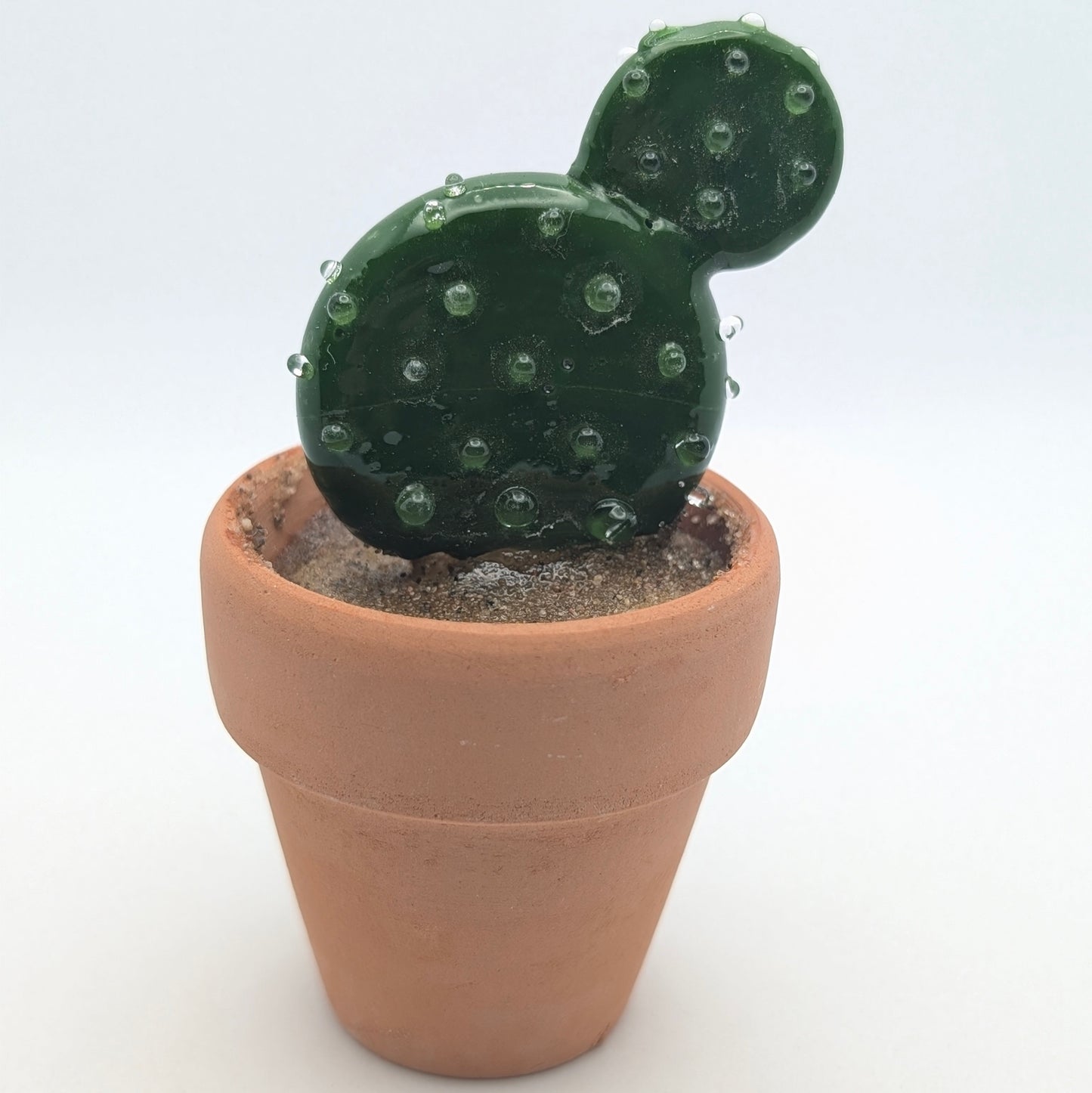Tiny Cactus 001