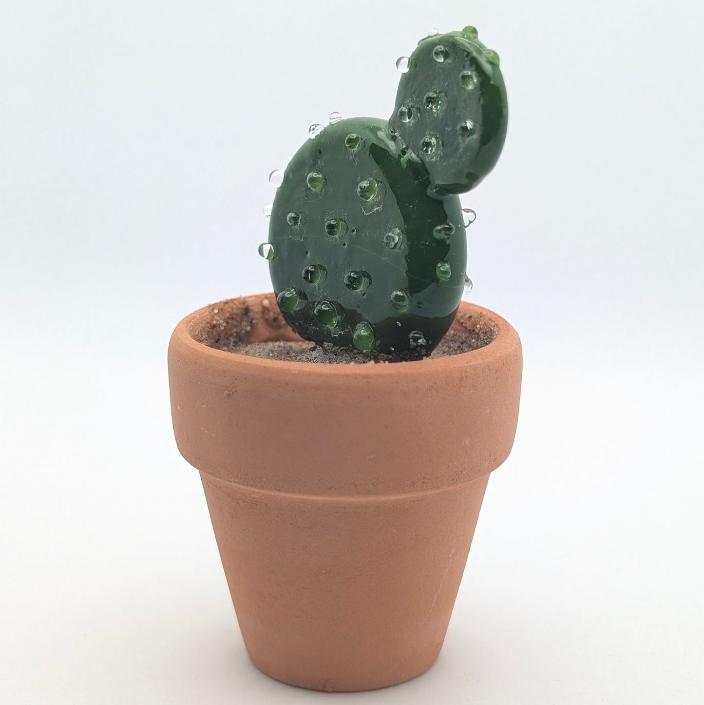 Tiny Cactus 001