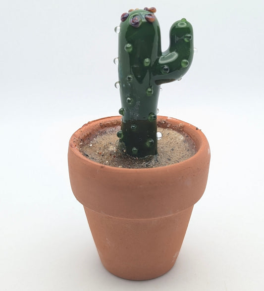 Tiny Cactus 002