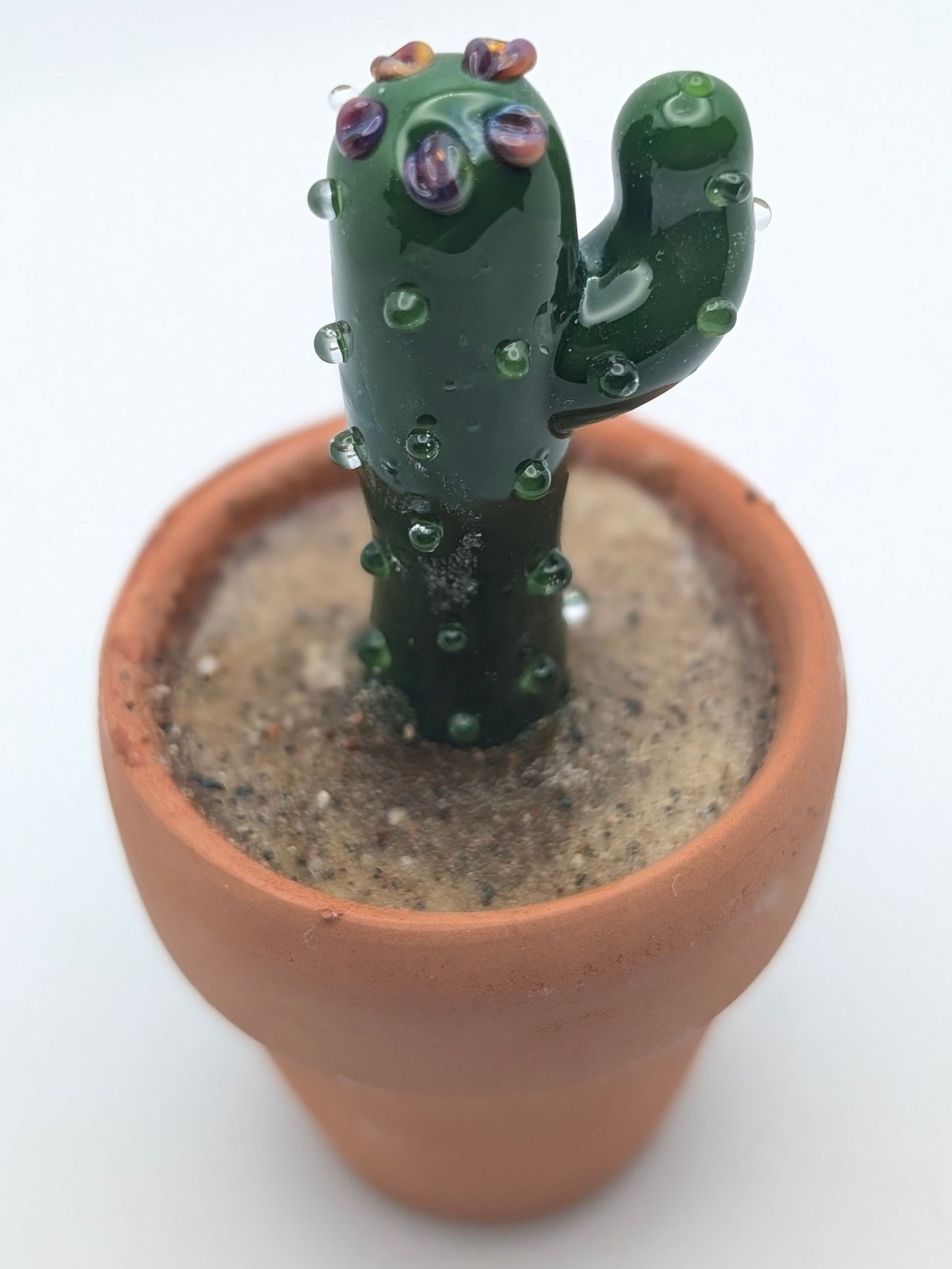 Tiny Cactus 002