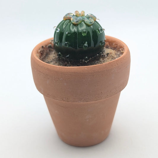 Tiny Cactus 003