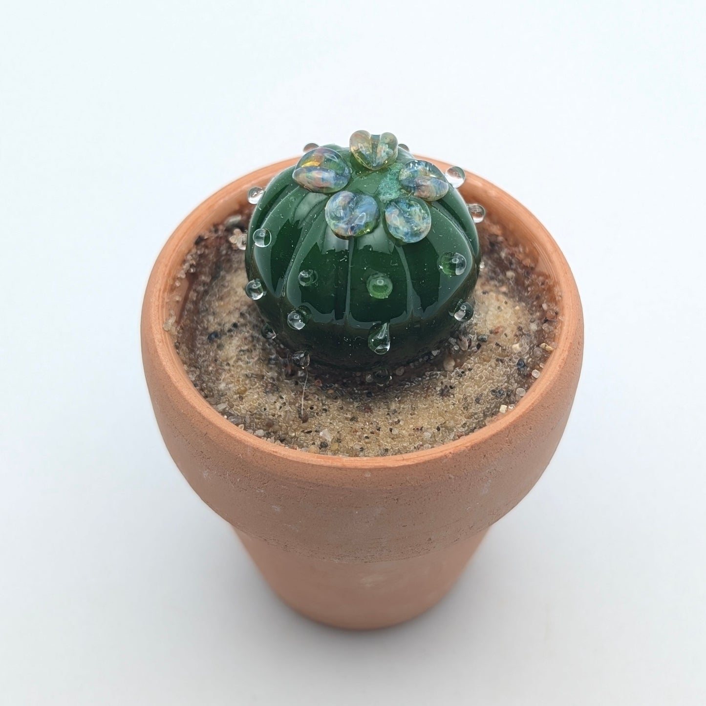 Tiny Cactus 003