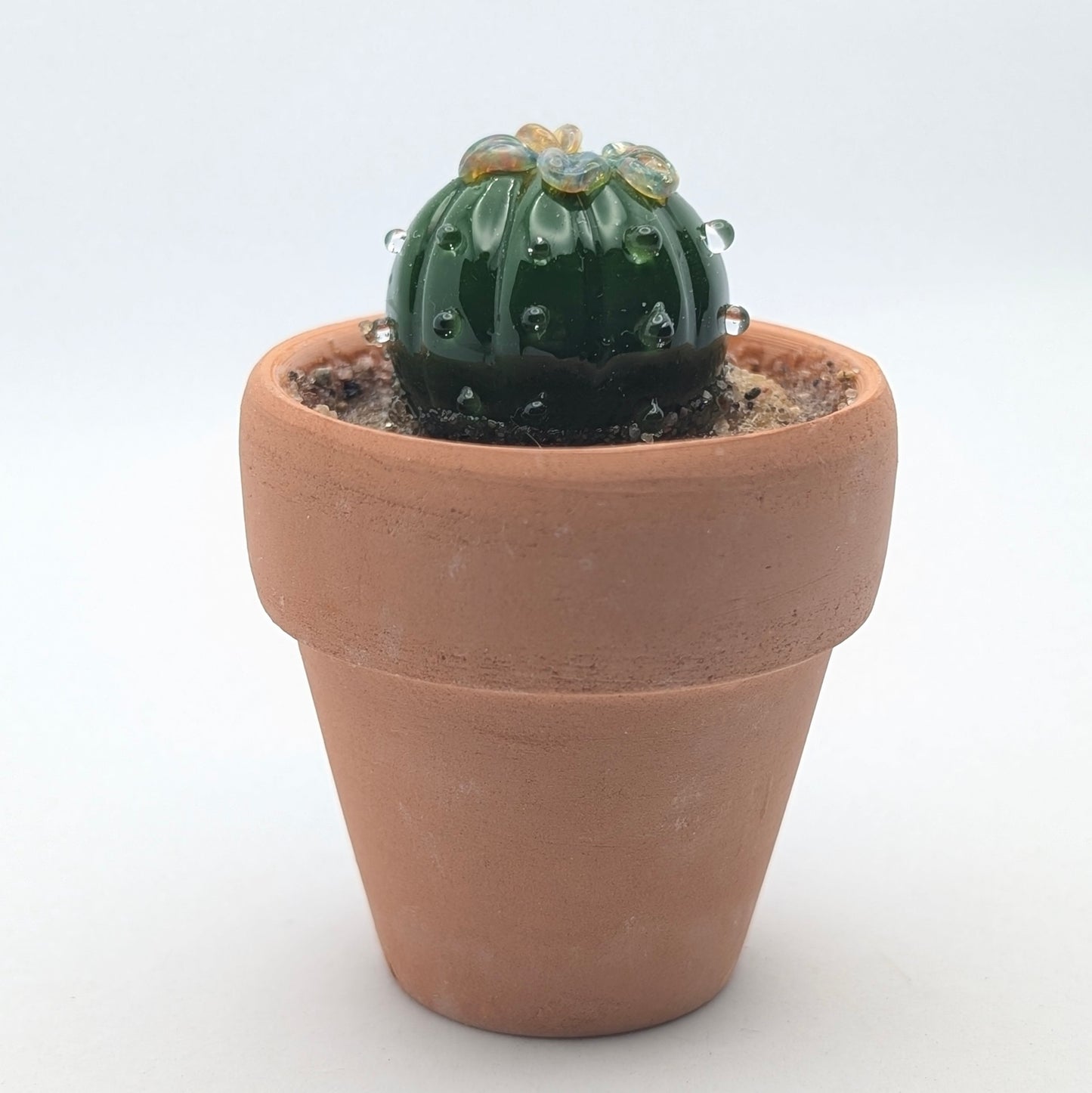Tiny Cactus 003