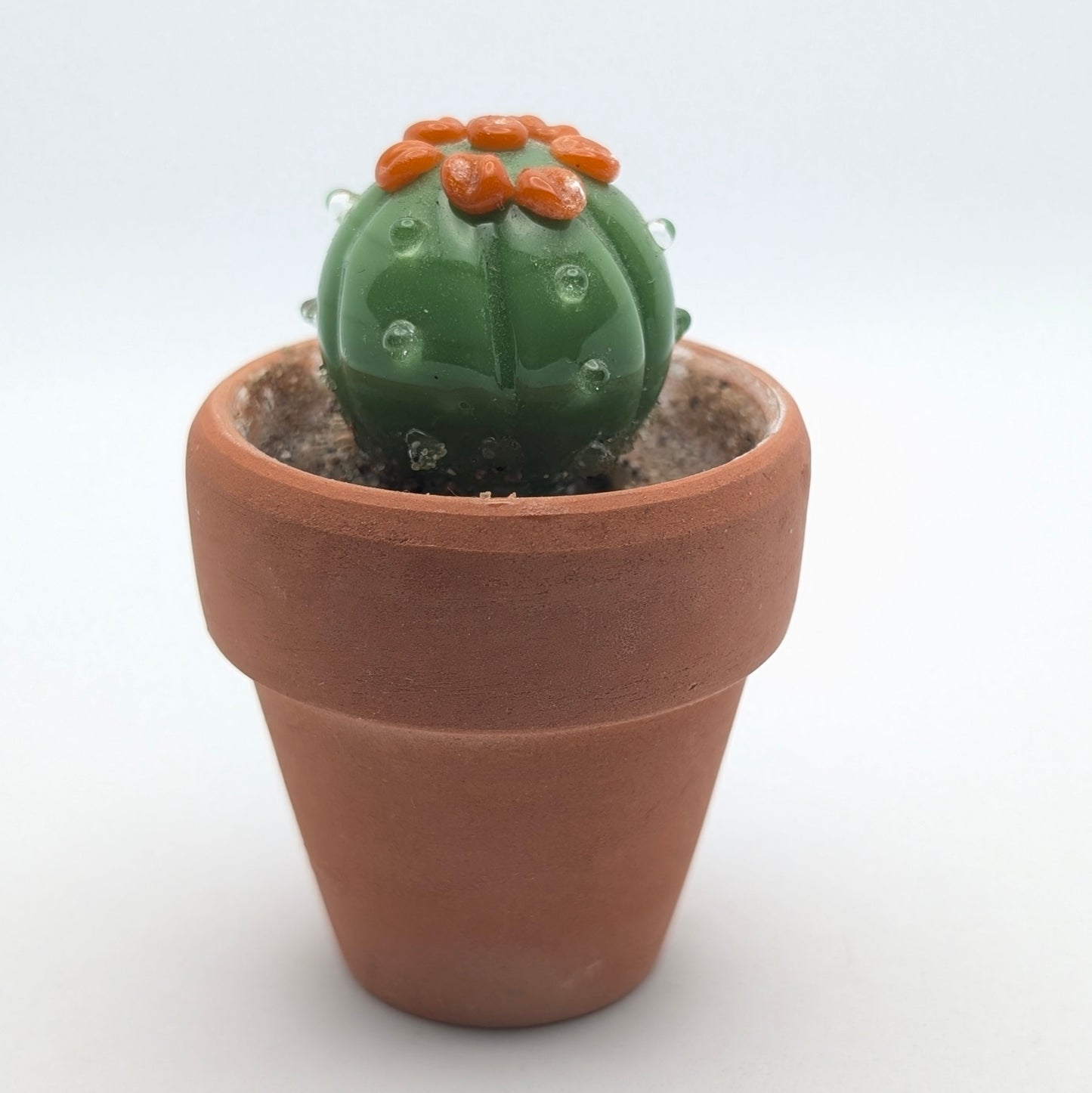 Tiny Cactus 004