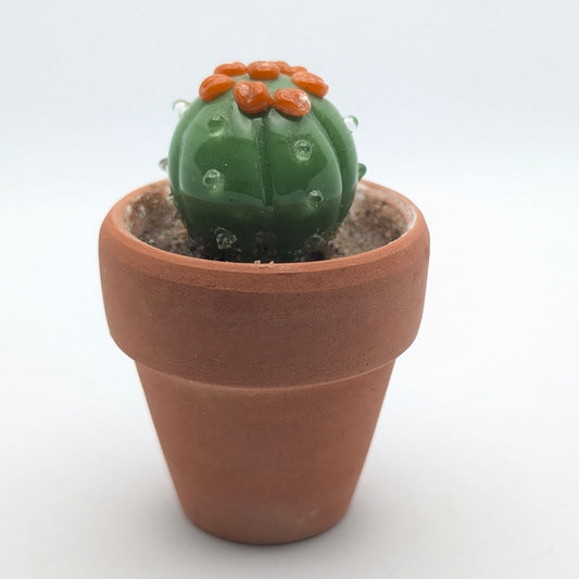 Tiny Cactus 004
