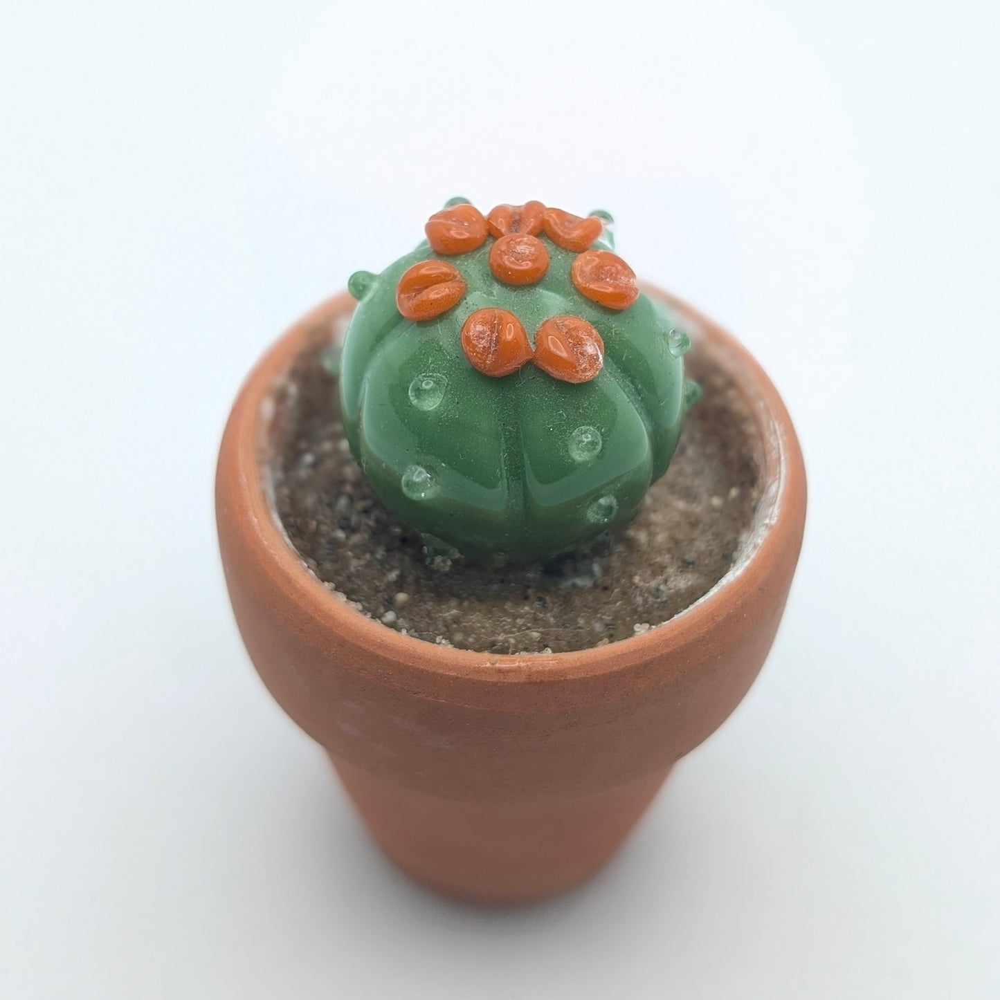 Tiny Cactus 004