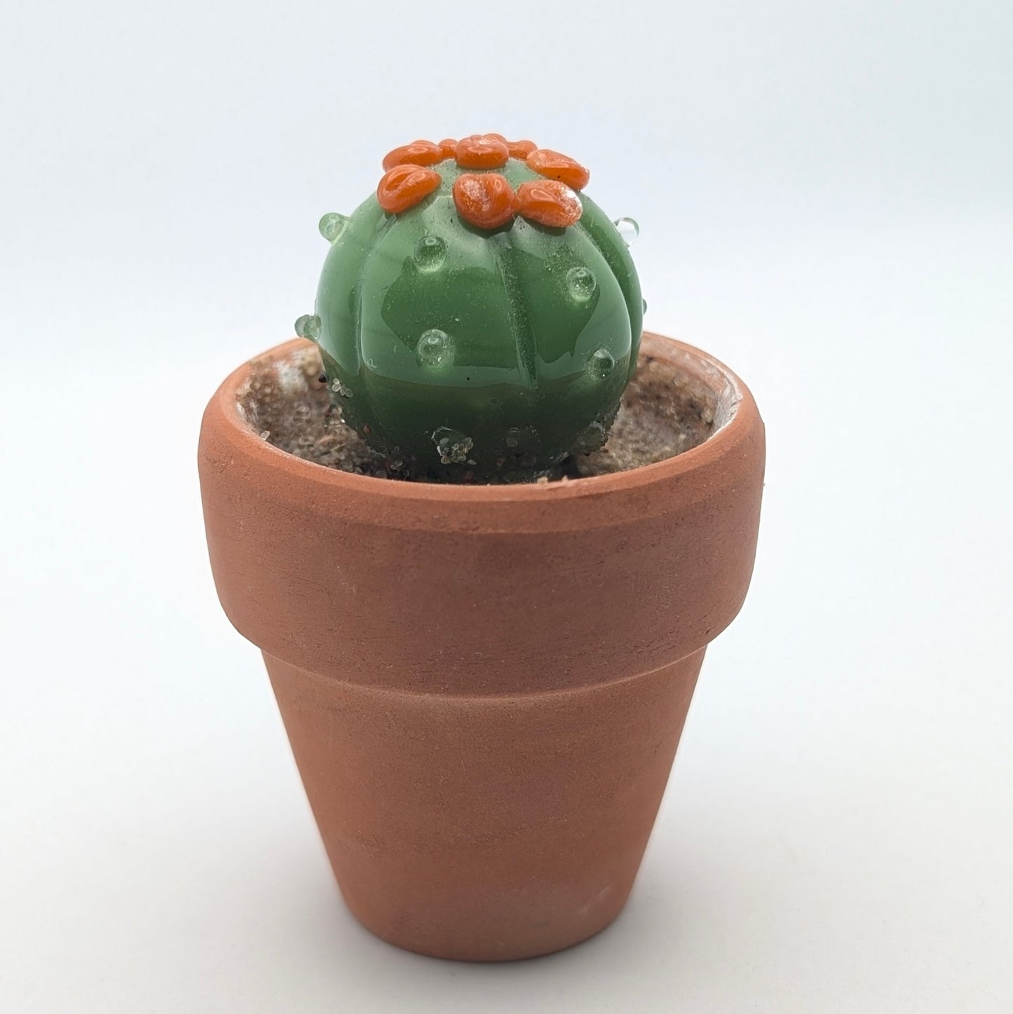 Tiny Cactus 004