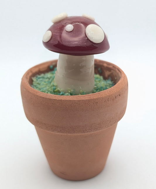 Tiny Shroomie 002