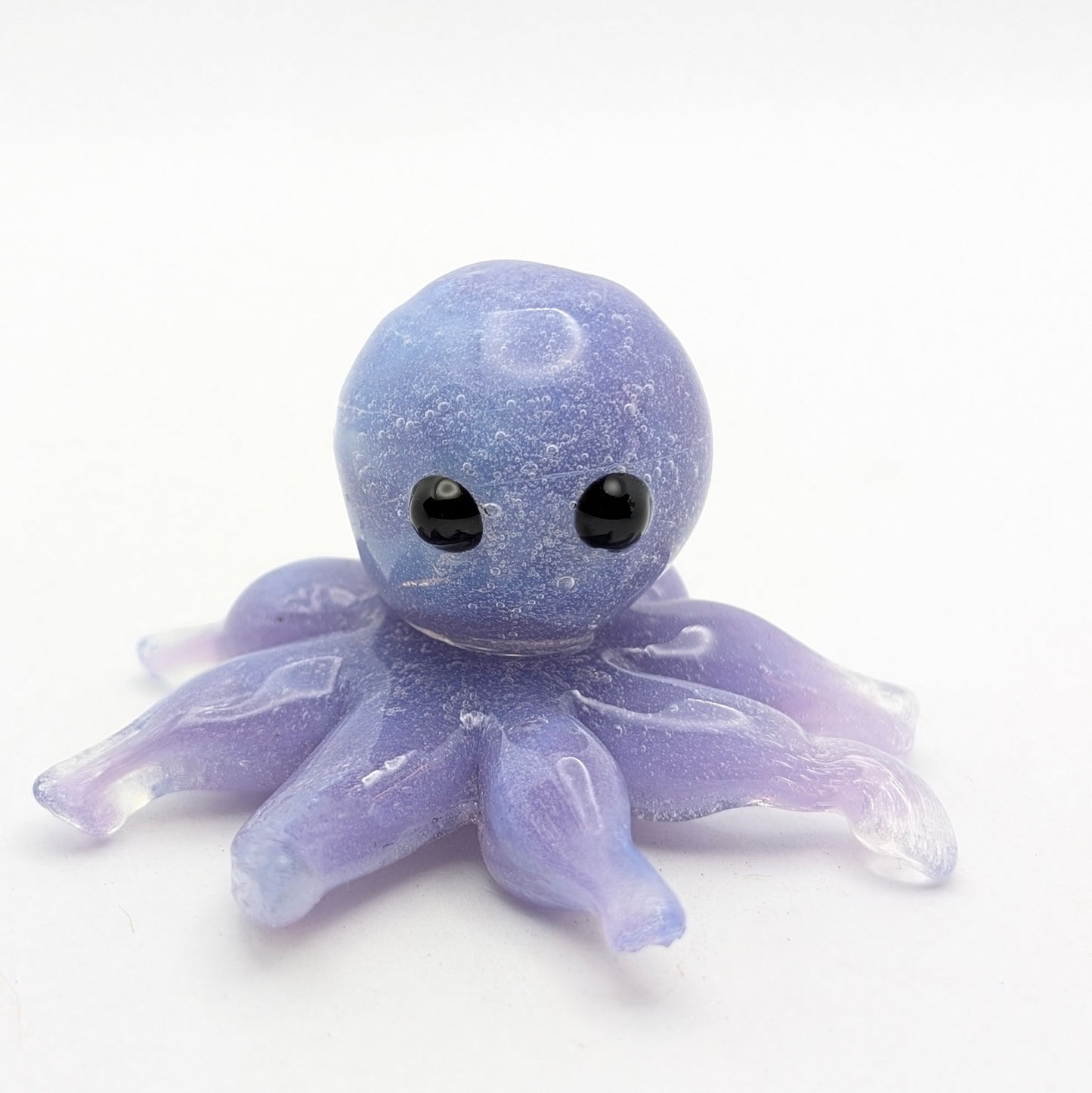 Baby Octopus
