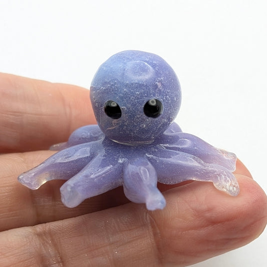 Baby Octopus