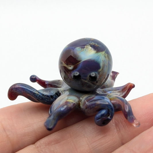 Baby Octopus