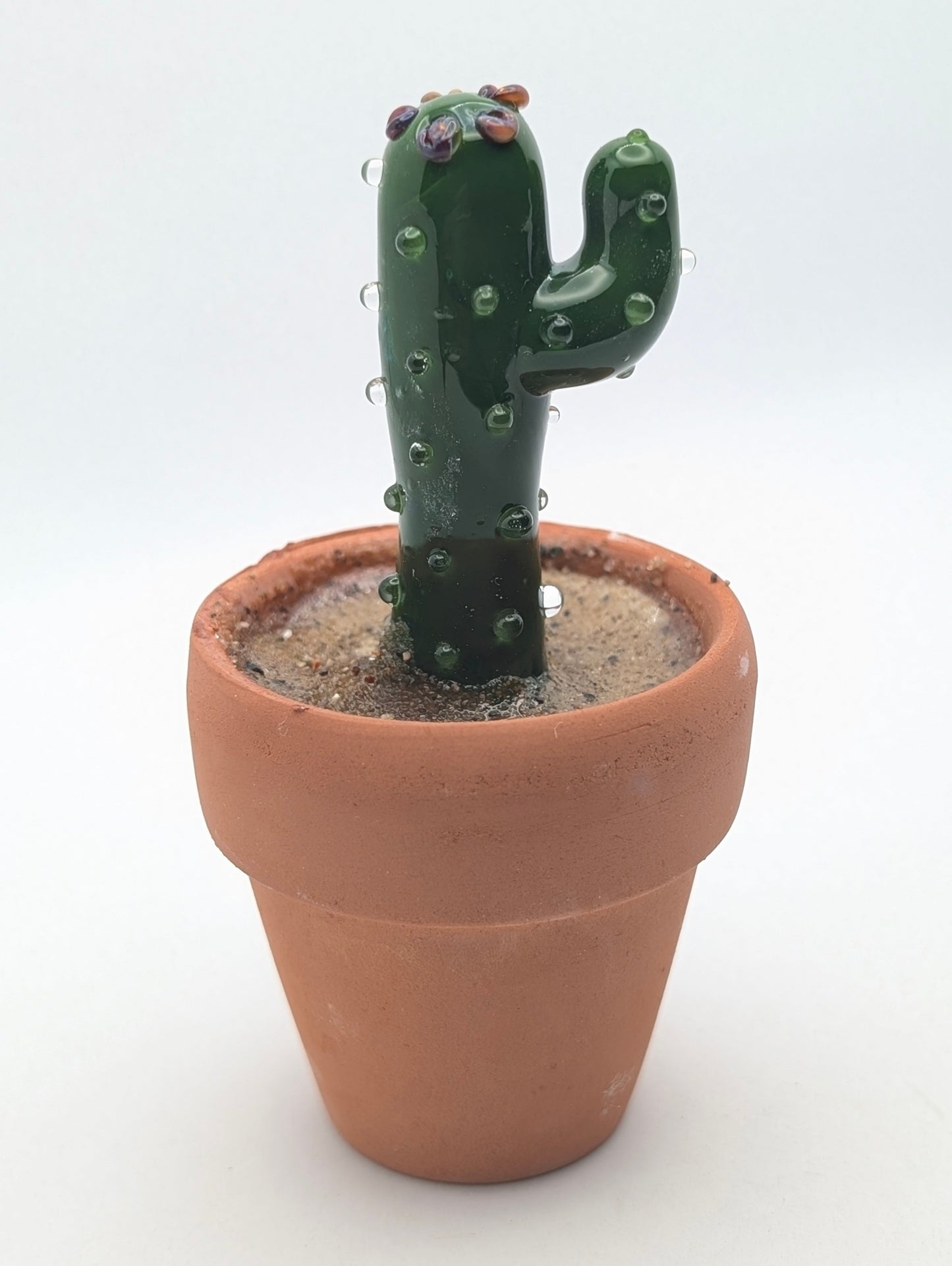 Tiny Cactus 002